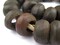 The Bead Chest Brown Bone Beads - Full Strand of Fair Trade African Beads (Ring, Brown)